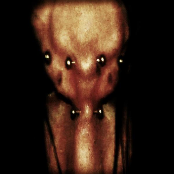 9mice все песни в mp3