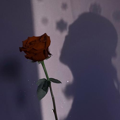 MARINICHEV - Пулевыми