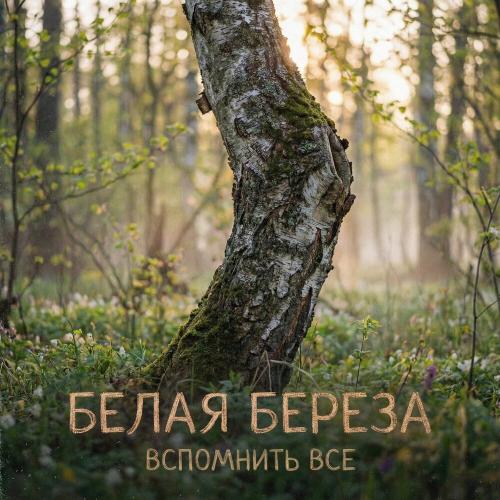 Вспомнить Всё - Белая берёза