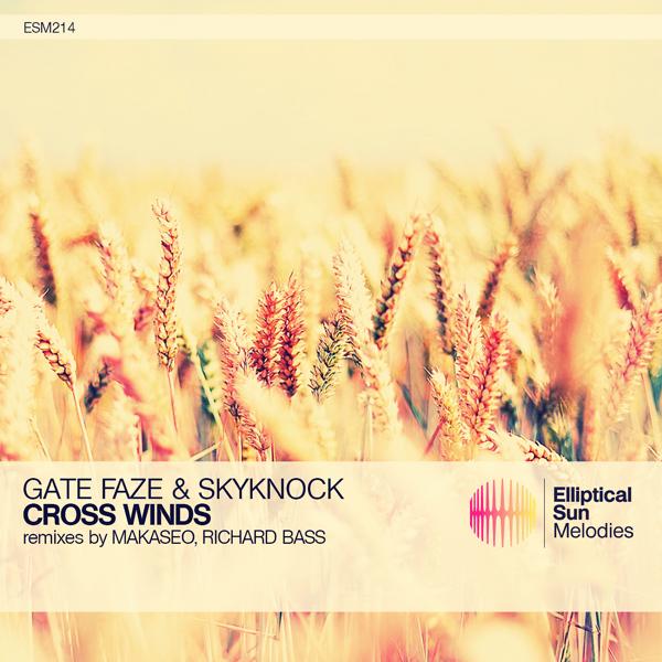 Gate Faze & Skyknock & Richard Bass - Cross Winds (Richard Bass Remix)
