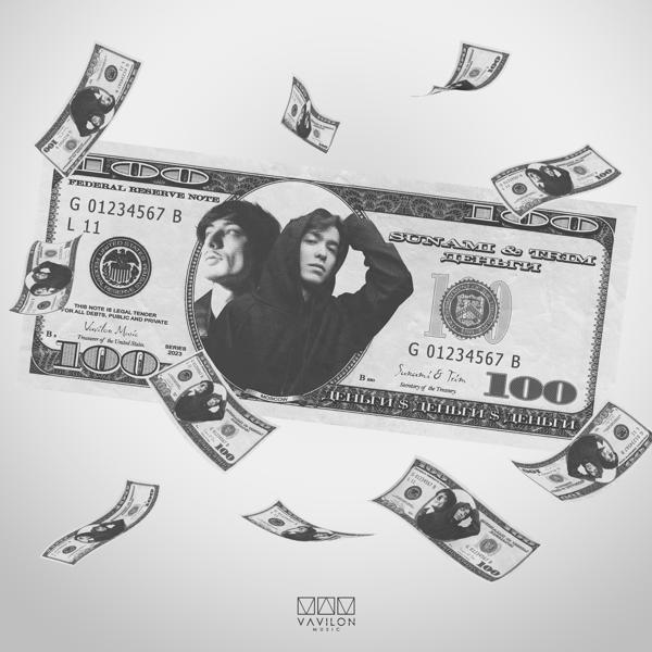 Альбом Деньги исполнителя Trim, Sunami