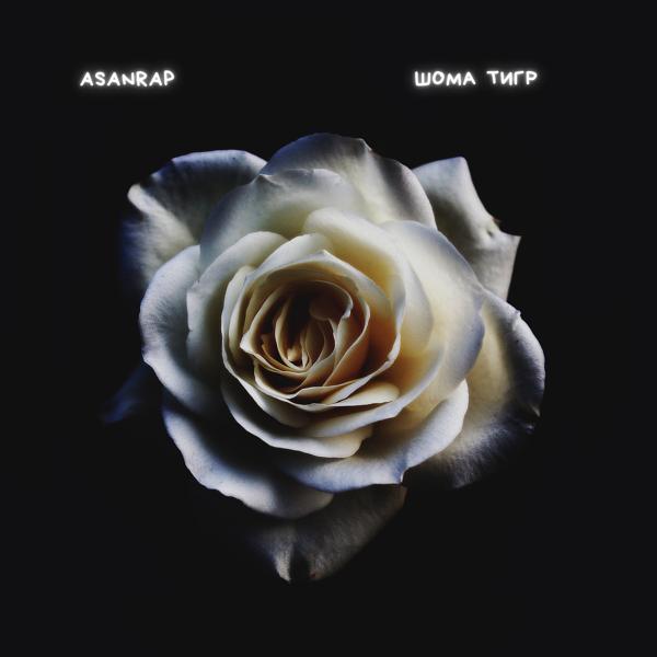 Альбом Шома тигр исполнителя asanrap