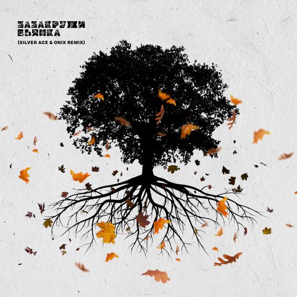 Альбом ЗАзакружи (Silver Ace & Onix Remix) исполнителя Бьянка