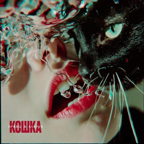 Kravz & AVAYVA - Кошка