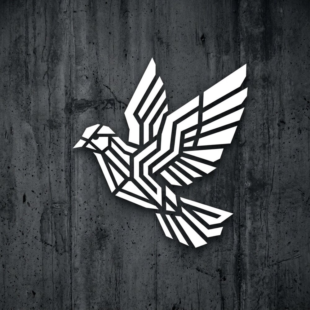 DJZHUKOV - Одинокий голубь