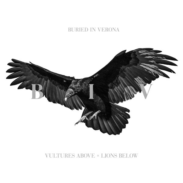 Buried In Verona - Separation