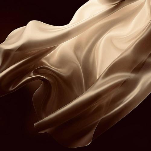 Skryptonite - шёлк (feat. кухня & w140)