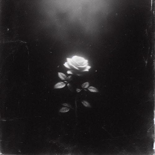 Qontrast - Перекур